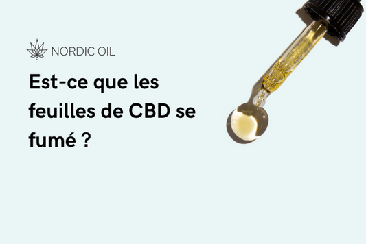 Est-ce que les feuilles de CBD se fumé ?