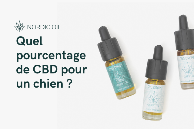 CBD pour chien : Tout ce qu'il faut savoir 🐶