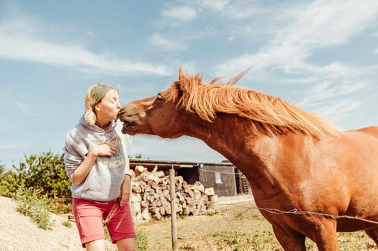 Cheval embrassant une femme