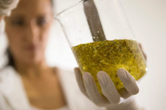 chimistre avec récipient remplit de liquide