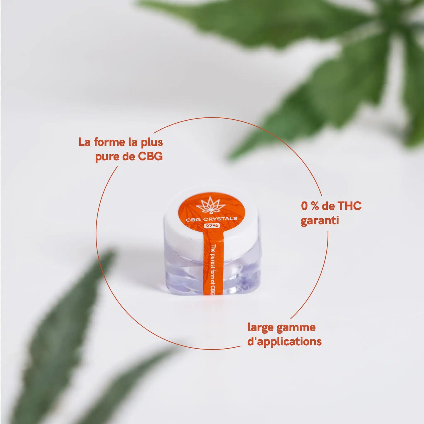 Composants des cristaux de CBG