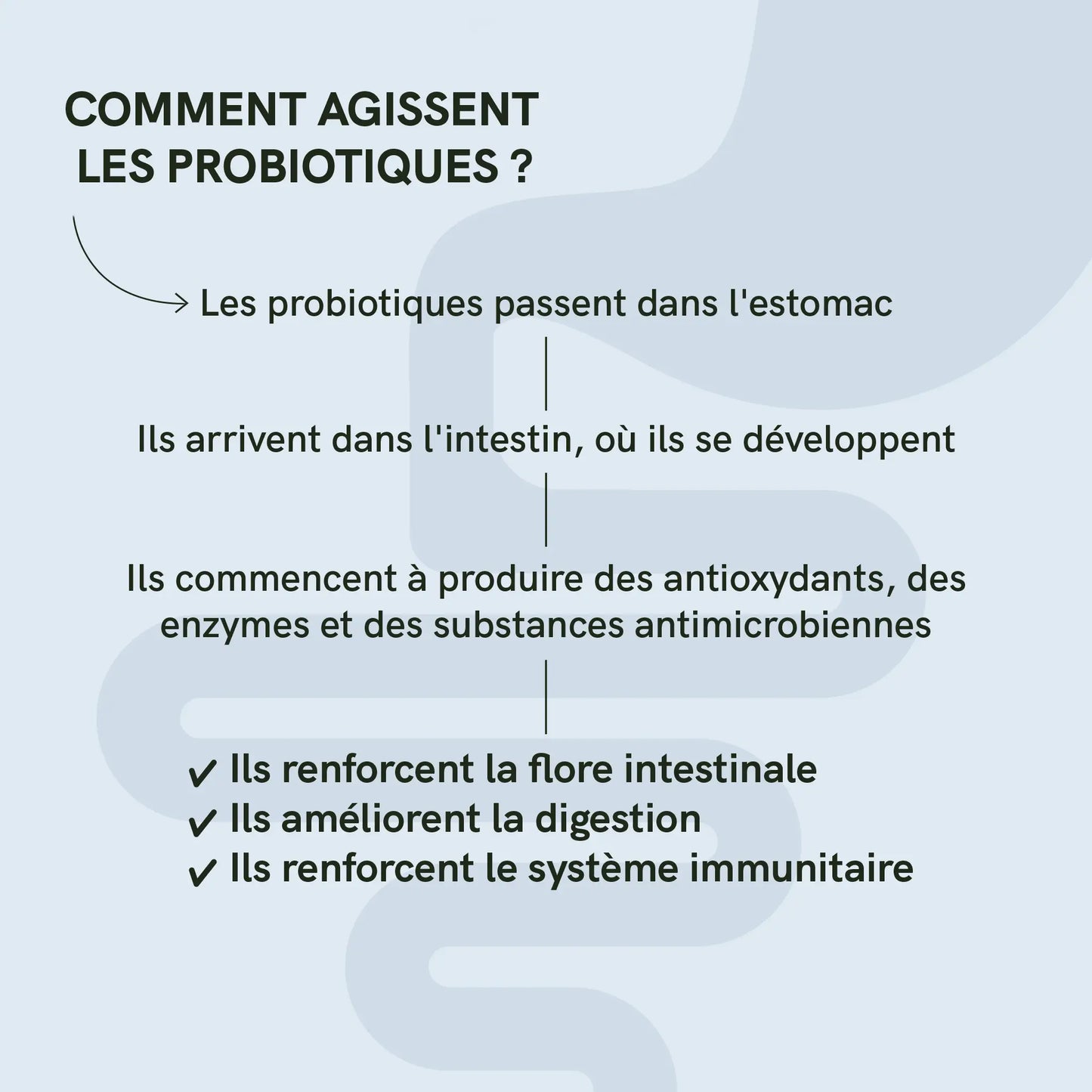 Probiotiques
