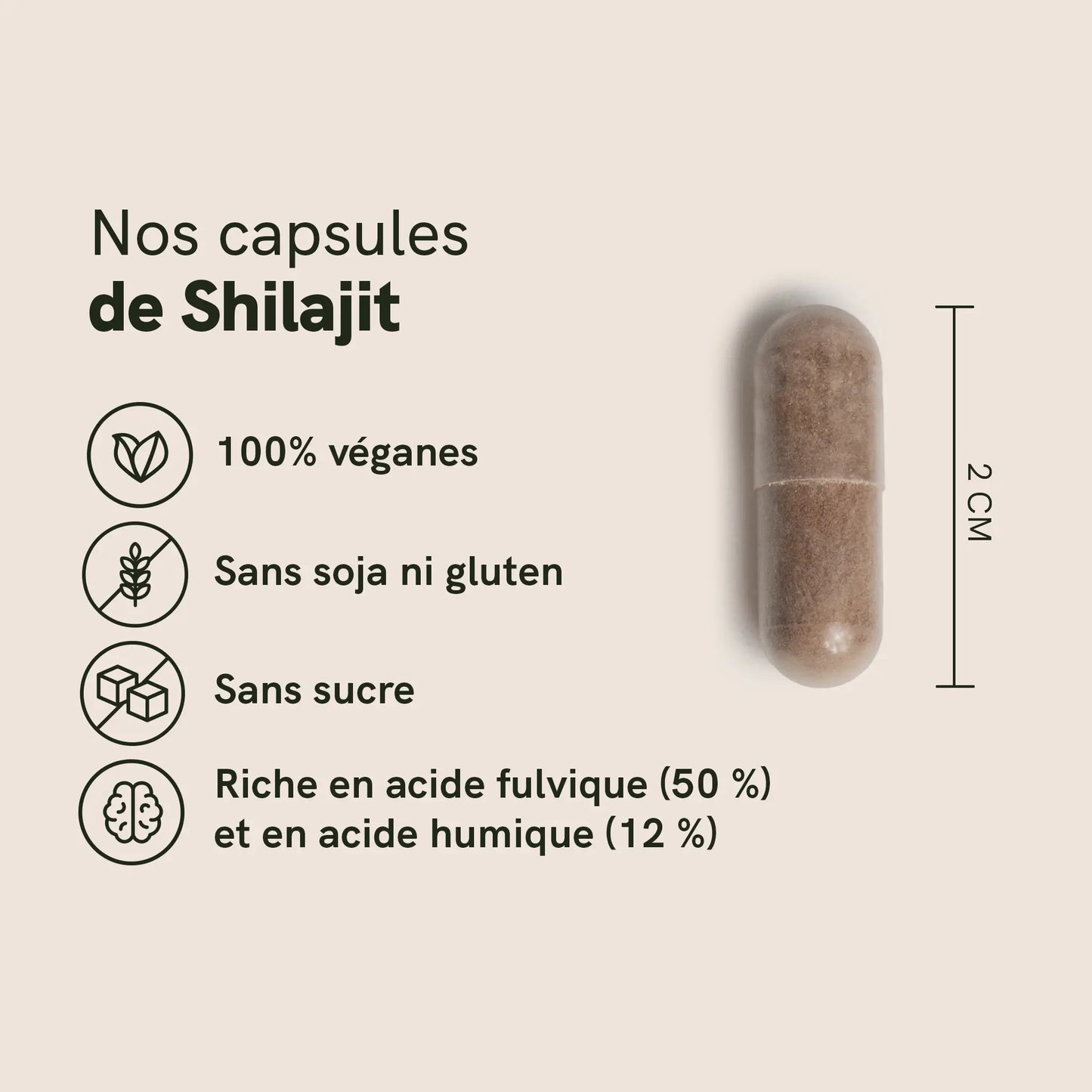 Capsules de Shilajit