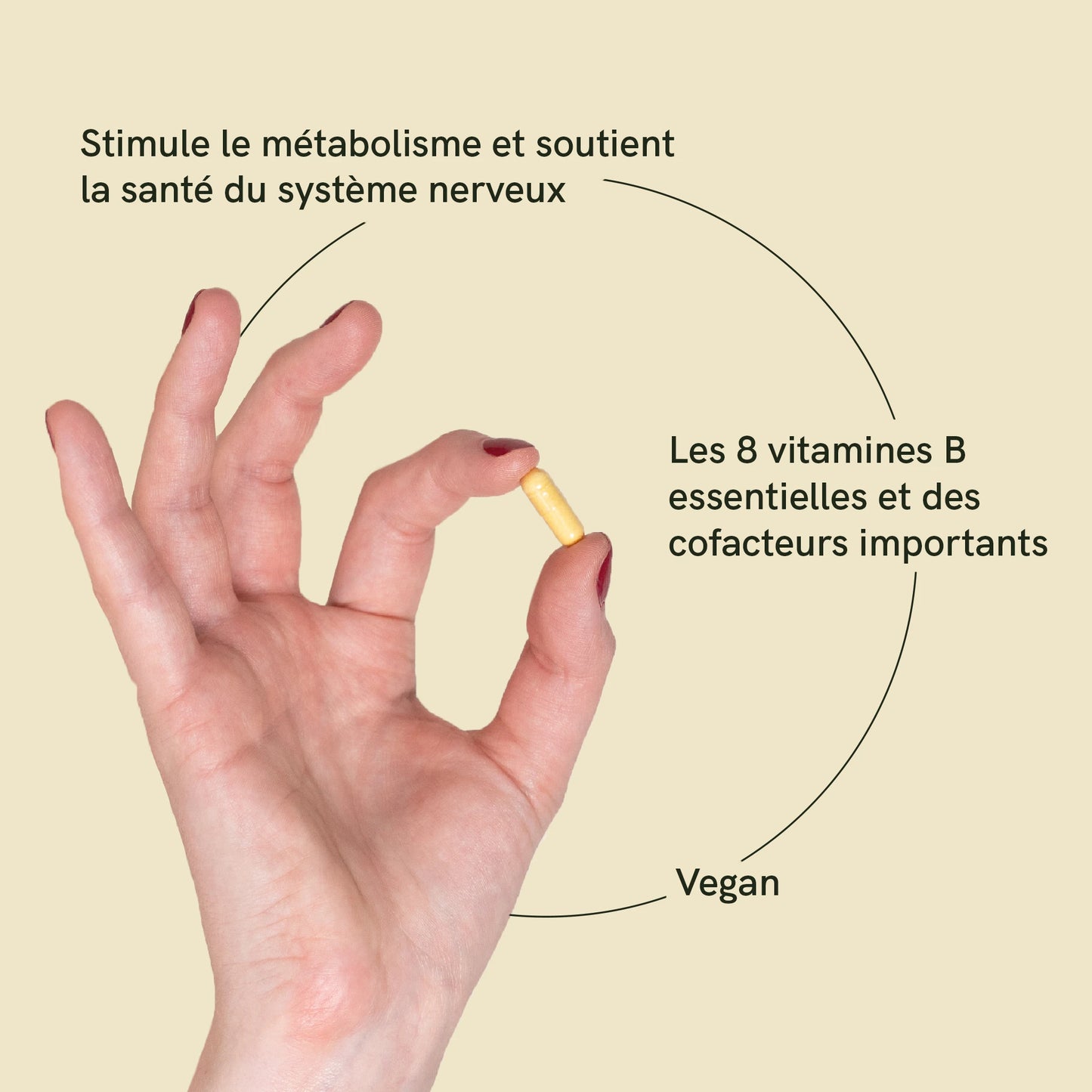 Complexe de Vitamines B