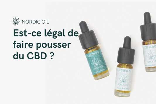 Est-ce légal de faire pousser du CBD ?