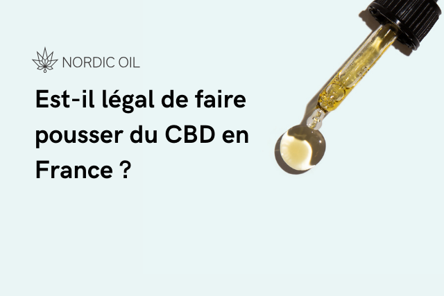 Est-il légal de faire pousser du CBD en France ?