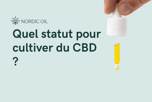 Quel statut pour cultiver du CBD ?