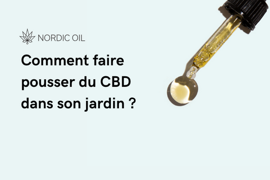 Comment faire pousser du CBD dans son jardin ?