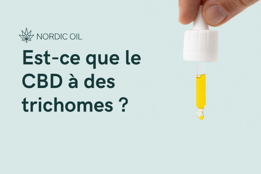 Est-ce que le CBD à des trichomes ?