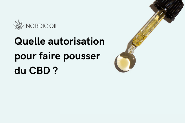 Quelle autorisation pour faire pousser du CBD ?