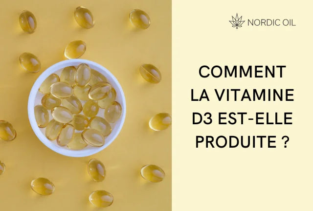 Comment la vitamine D3 est-elle produite ?