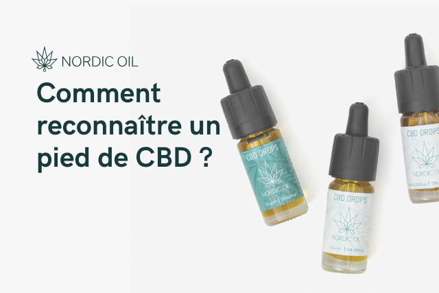 Comment reconnaître un pied de CBD ?