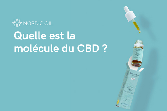 Quelle est la molécule du CBD ?