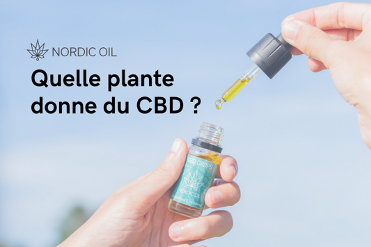 Quelle plante donne du CBD ?