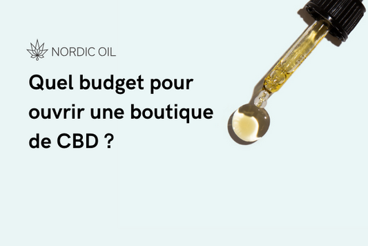 Quel budget pour ouvrir une boutique de CBD ?