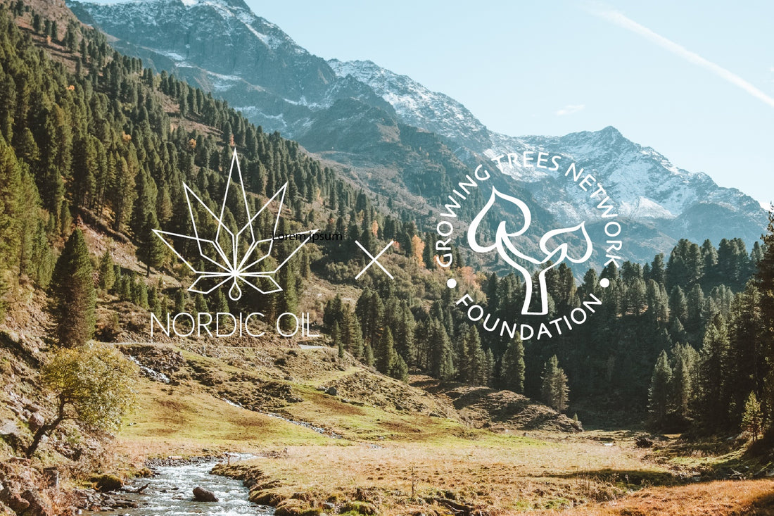 logo de nordic oil et growing trees foundation avec un paysage montaneux en arrière plan