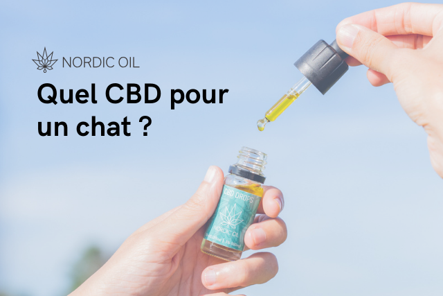 Quel CBD pour un chat ?