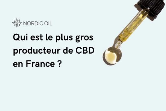 Qui est le plus gros producteur de CBD en France ?