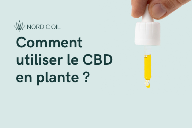 Comment utiliser le CBD en plante ?