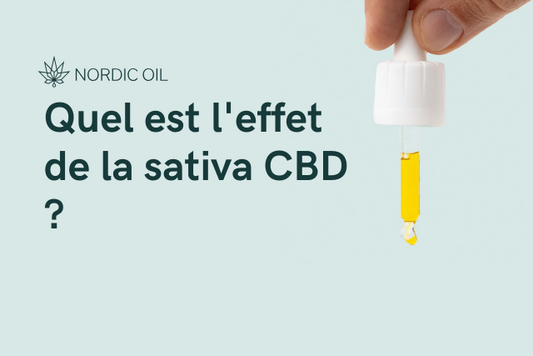 Quel est l'effet de la Sativa CBD ?