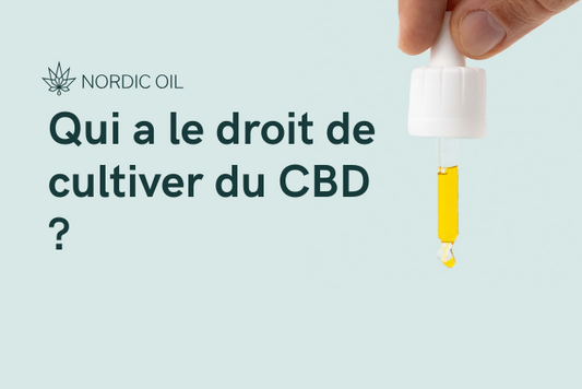 Qui a le droit de cultiver du CBD ?