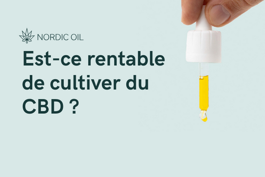 Est-ce rentable de cultiver du CBD ?