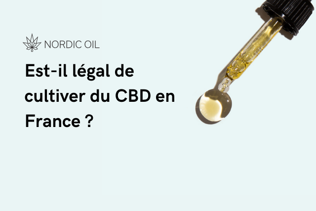 Est-il légal de cultiver du CBD en France ?