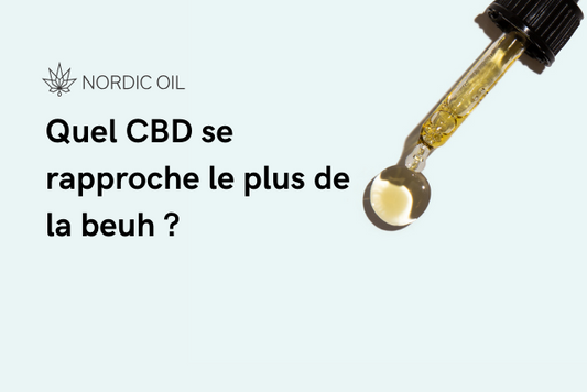 Quel CBD se rapproche le plus de la beuh ?