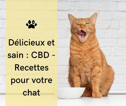 Crunchies à la levure de bière-CBD pour chats