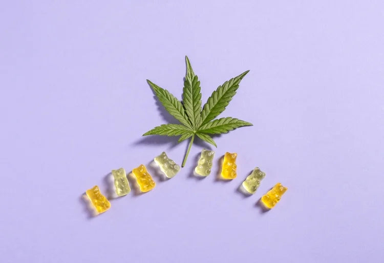 CBD gummies contre les douleurs