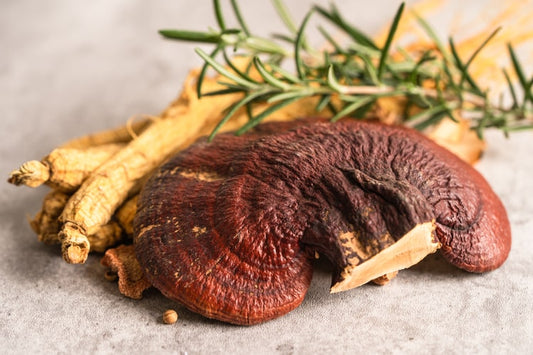 Reishi : Un soutien naturel pour le système immunitaire et la psyché