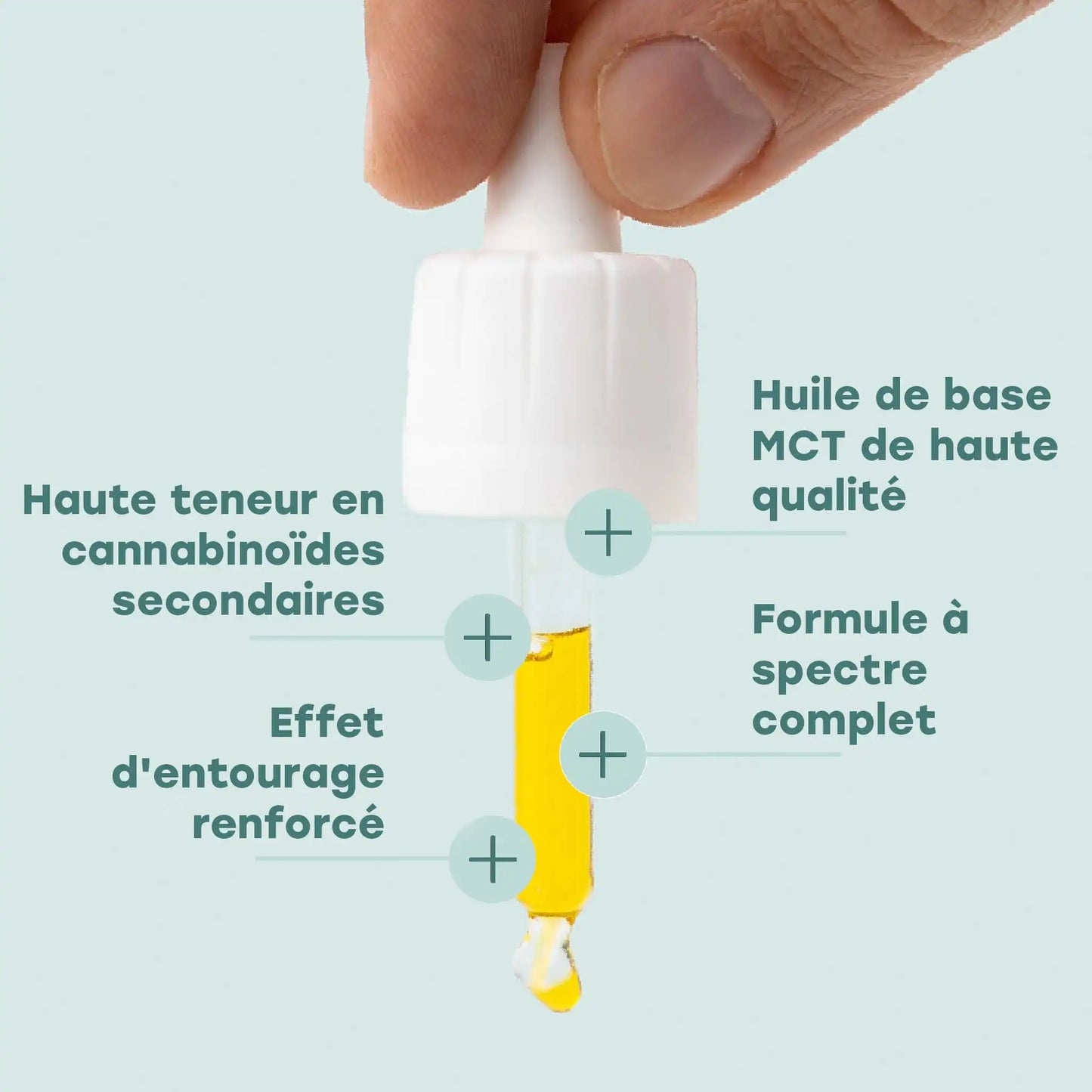 Ingrédients de l'huile de CBD