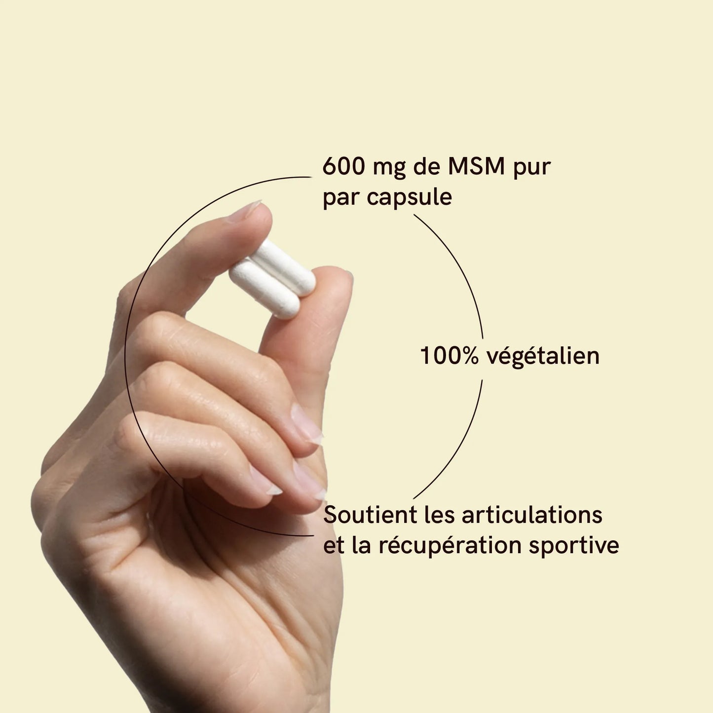 Capsules de MSM