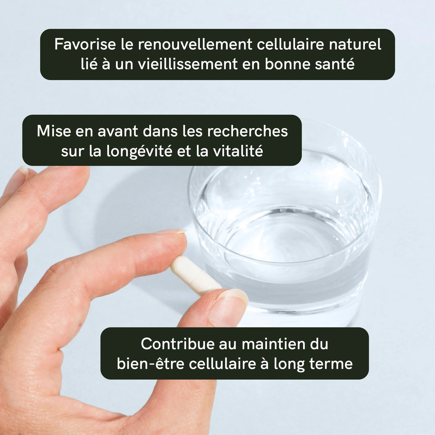 Capsules de riboside de nicotinamide (NR)