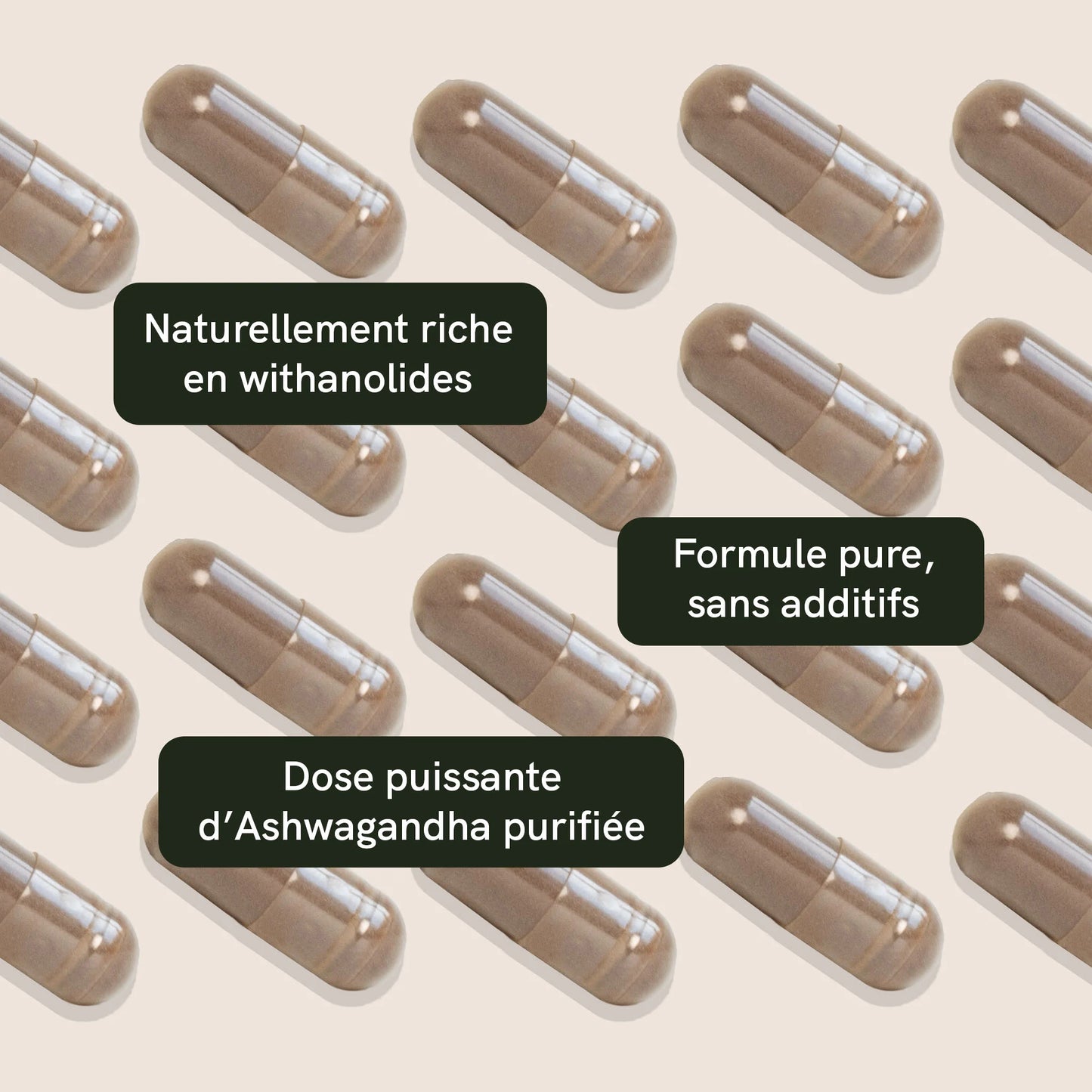 Capsules d'ashwagandha