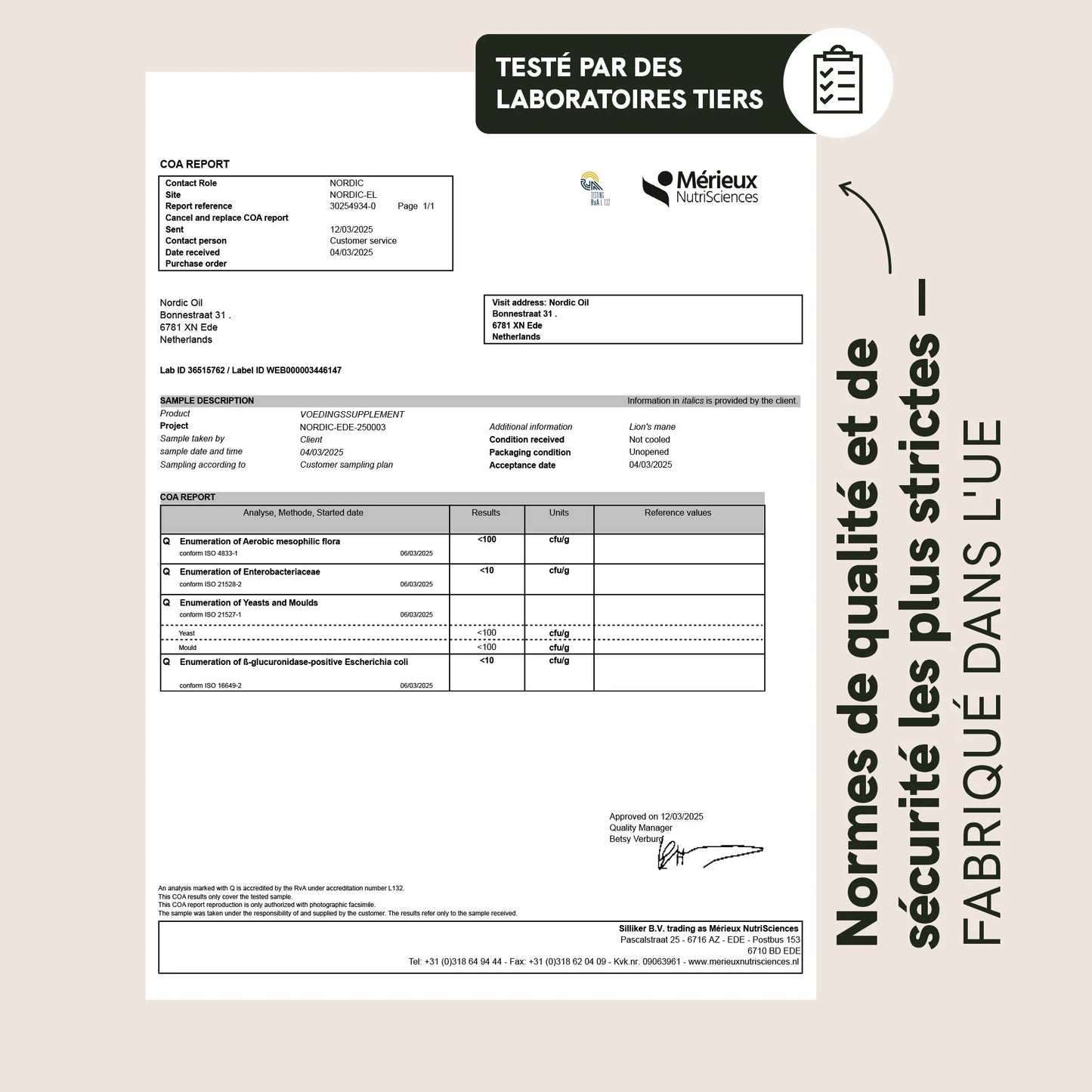 Gummies aux champignons Crinière de Lion