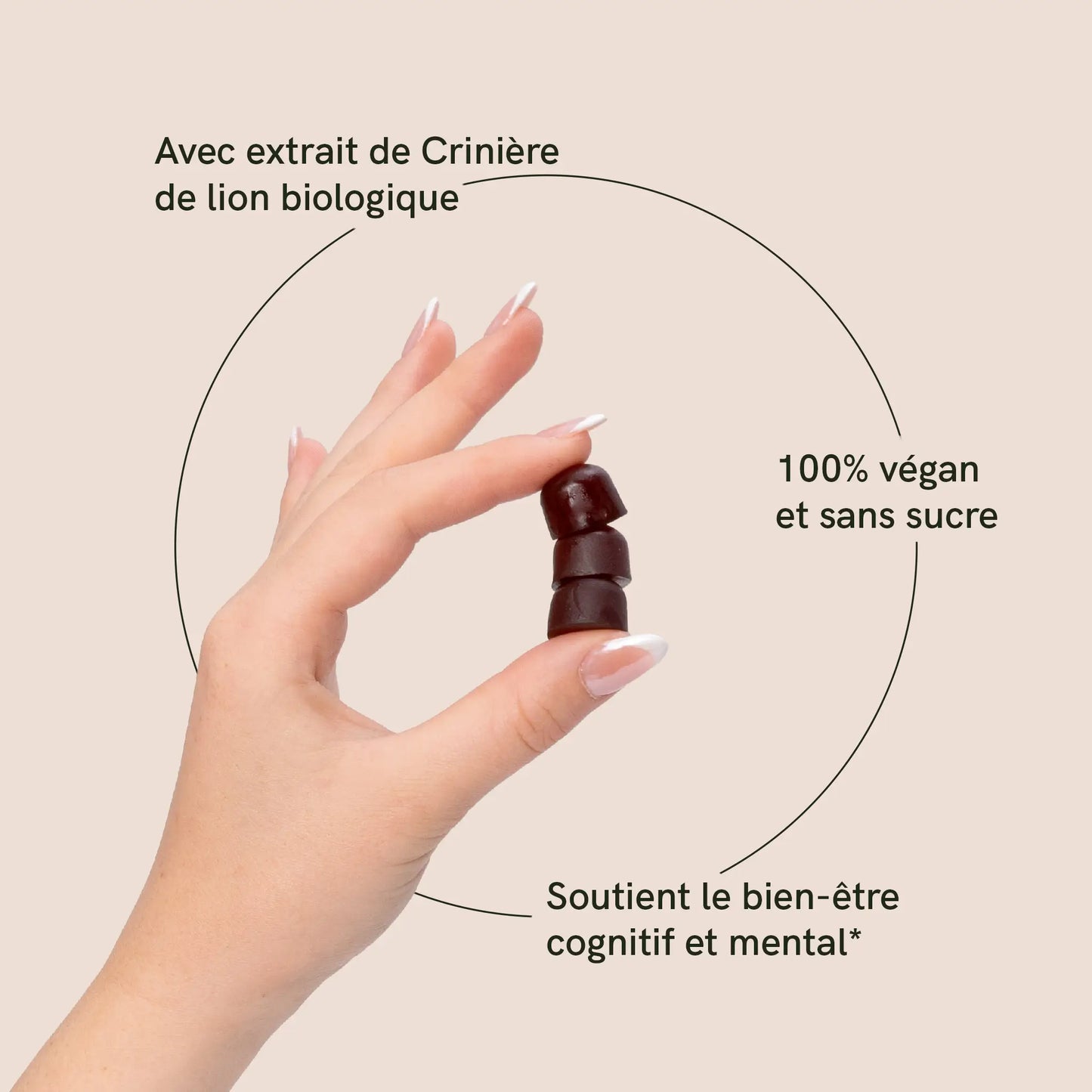 Gummies aux champignons Crinière de Lion