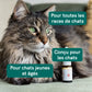 Huile de CBD pour Chat - Poisson (2,5%)