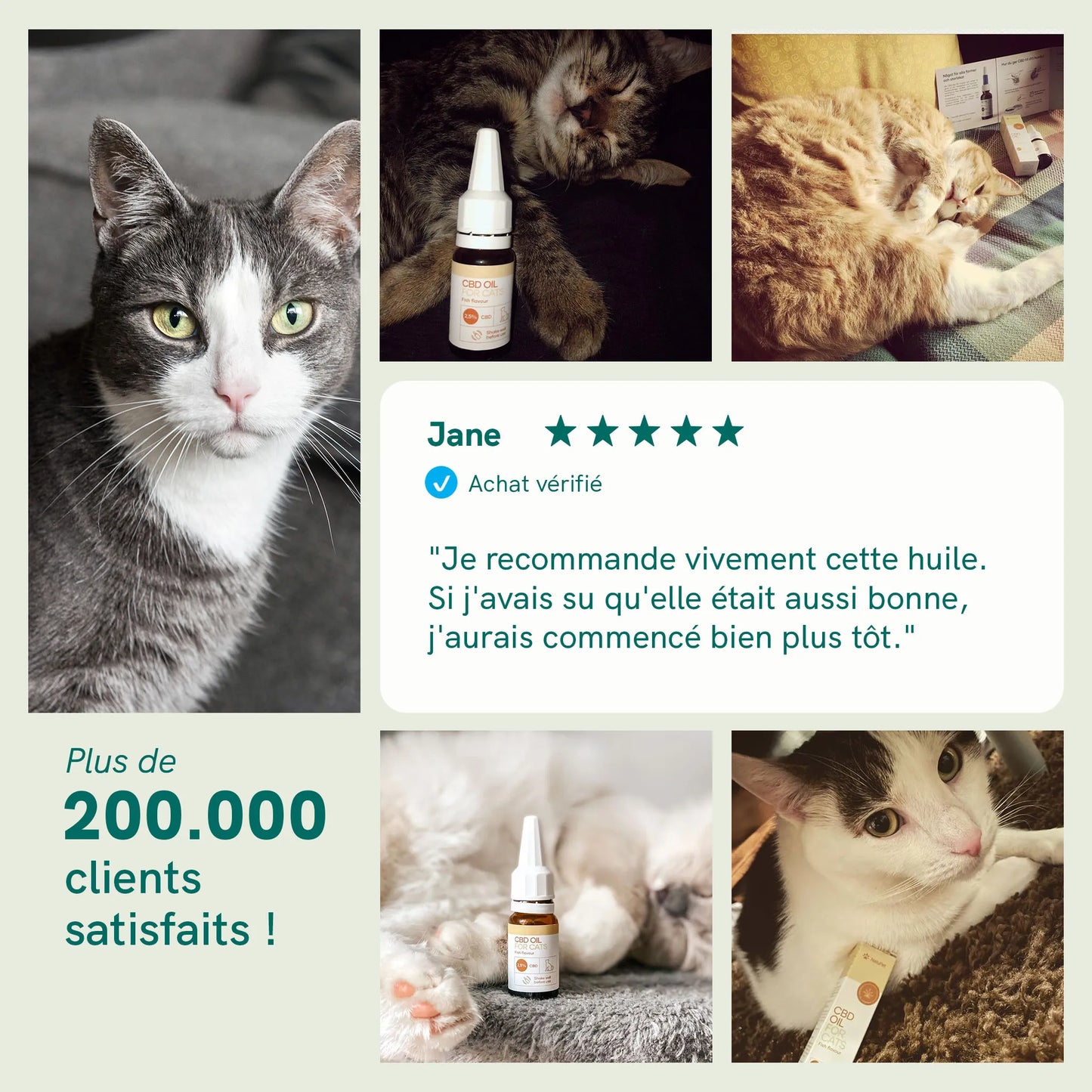 Huile de CBD pour Chat - Poisson (2,5%)