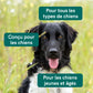 Huile de CBD pour Chien - Bœuf (2,5%)