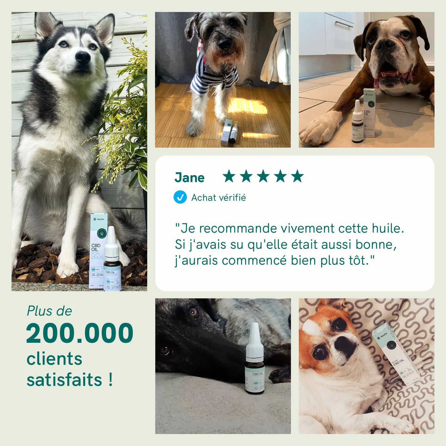 Huile de CBD pour Chien - Bœuf (2,5%)