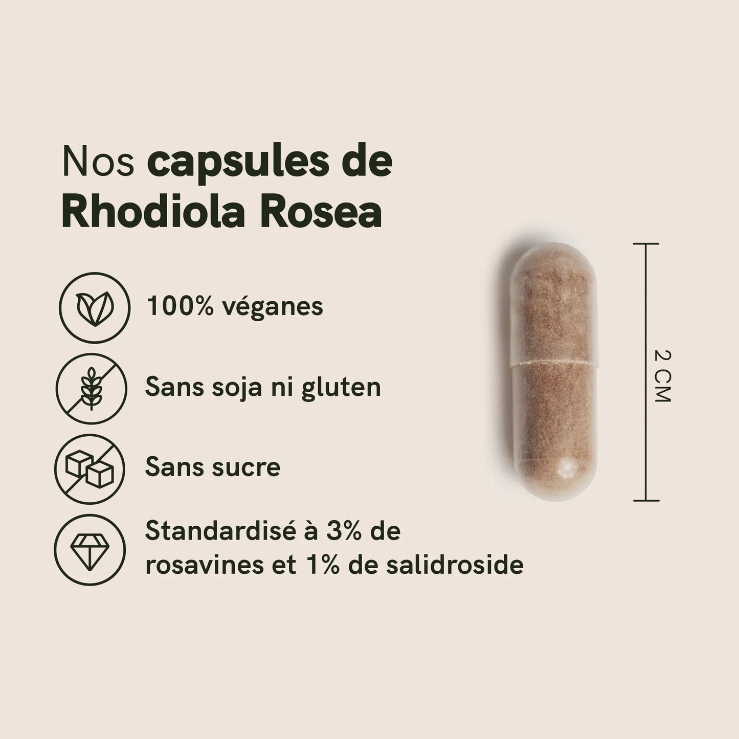 Infographie produit: capsules de Rhodiola Rosea, 100% véganes, sans soja ni gluten, sans sucre, standardisées à 3% rosavines et 1% de salidroside, avec une capsule marron mesurant environ 2 cm.