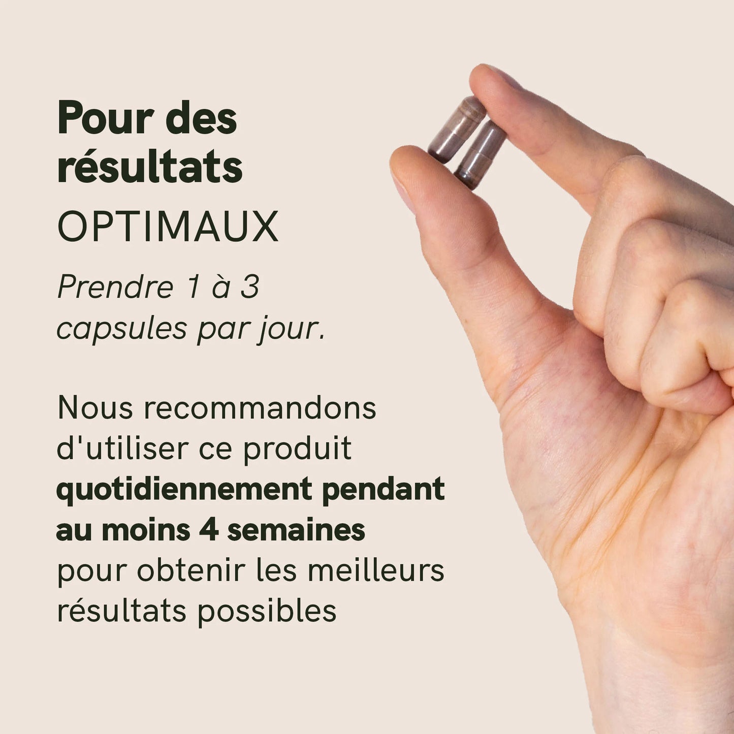 Capsules de Shilajit