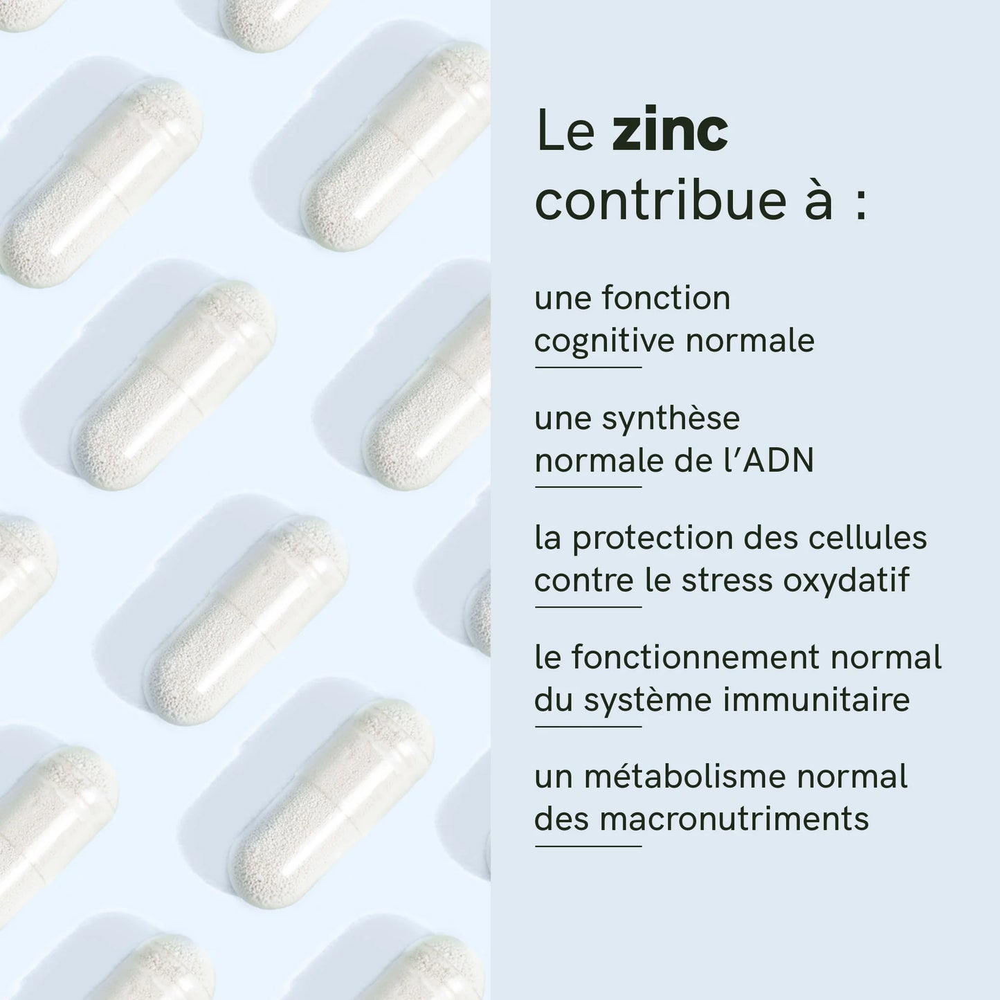 Capsules à la spermidine