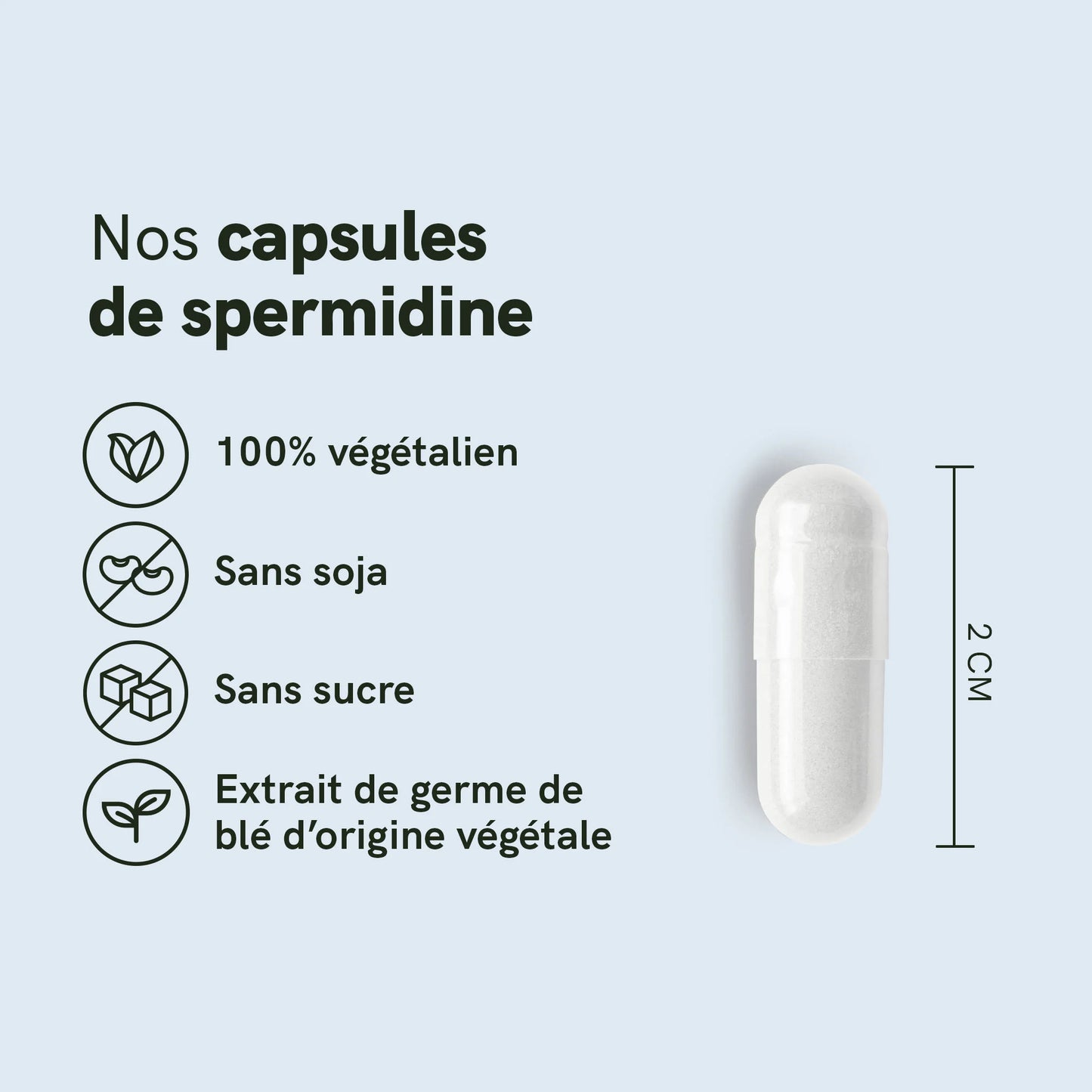 Capsules à la spermidine