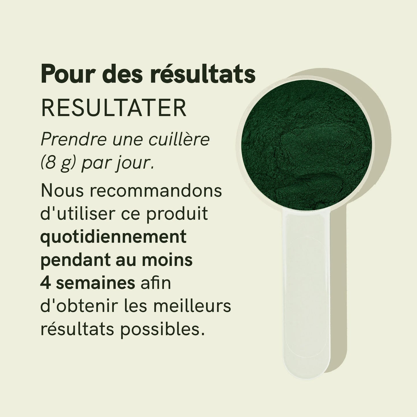 Poudre de spiruline et chlorella