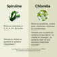 Poudre de spiruline et chlorella